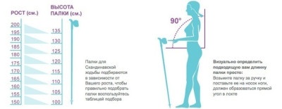 Палки для скандинавской ходьбы Finpole Breeze 60% Carbon 100 см 