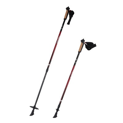 Палки для скандинавской ходьбы Finpole Alpina 60% Carbon Красный 