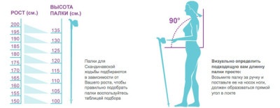 Телескопические двухсекционные палки для скандинавской ходьбы Nordic Sport-17 
