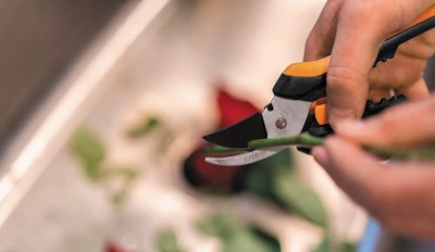 Садовые инструменты:Секатор Fiskars Solid SP14 