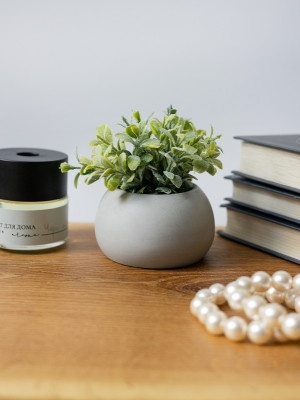 Гипсовое кашпо Серый с искусственным суккулентом 