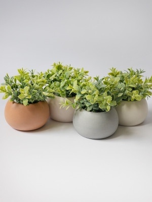 Гипсовое кашпо Белый с искусственным суккулентом 