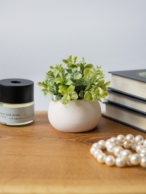 Гипсовое кашпо Светло-розовый с искусственным суккулентом 