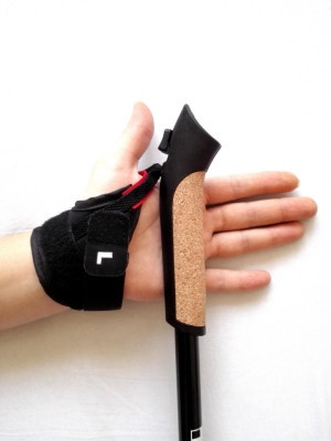 Палки для скандинавской ходьбы Finpole Alpina 60% Carbon 