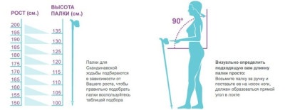 Палки для скандинавской ходьбы Finpole STAR белые 