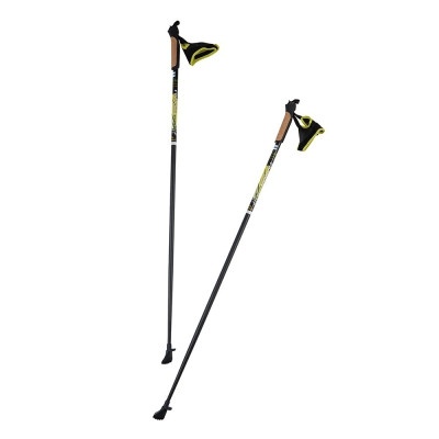 Палки для скандинавской ходьбы Finpole Breeze 60% Carbon 100 см 