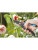 Садовые инструменты:Секатор Gardena B/M (08904-20.000.00) 